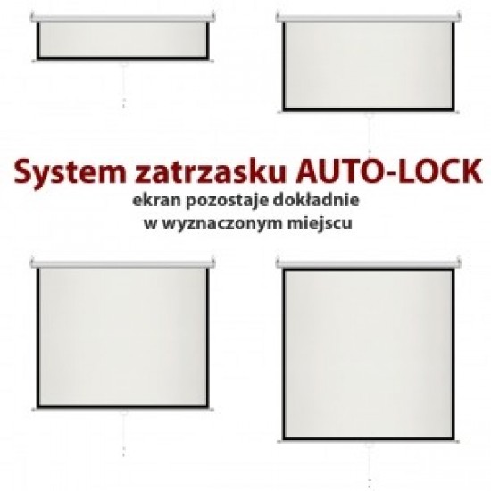 Ekran ręczny półautomat 4:3 100