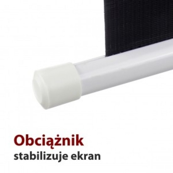 Ekran ręczny półautomat 4:3 100