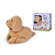 Maskotka interakcyjna CCL Salto Puppy, 20 cm 
