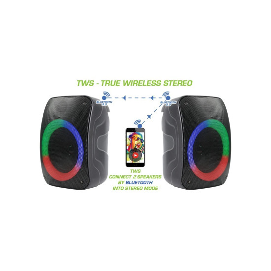 Głośnik Bluetooth STAGE 300 