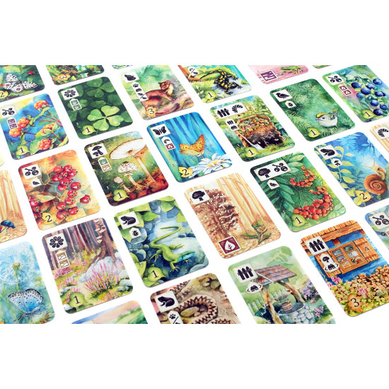 Gra Łąka (Meadow) PL