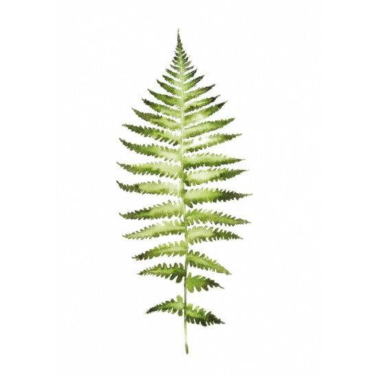 Gra Łąka (Meadow) PL