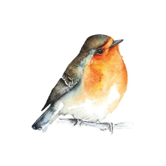 Gra Łąka (Meadow) PL