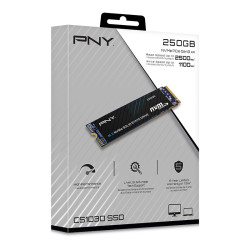 Dysk SSD 250GB M.2 2280 CS1030 M280CS1030-250-RB