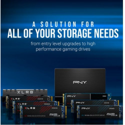 Dysk SSD 1TB M.2 CS1030 M280CS1030-1TB-RB 