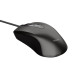 Mysz komputerowa Basics