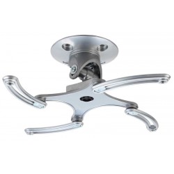 Pro Mount Direct mocowanie podsufitowe