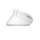 Mysz bezprzewodowa Verto Ergo biała