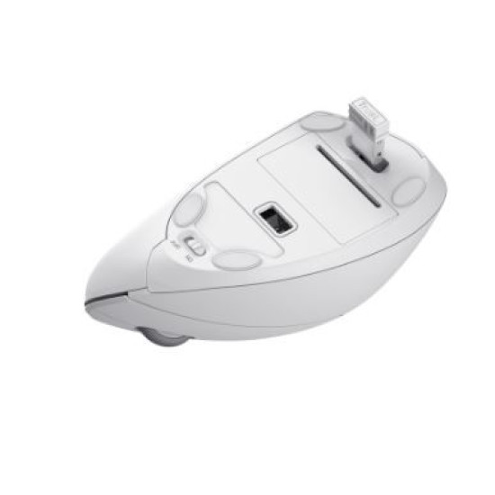 Mysz bezprzewodowa Verto Ergo biała