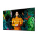 Monitor profesjonalny 55 cali QM55C LH55QMCEBGCXEN