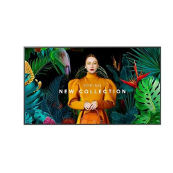 Monitor profesjonalny 65 cali QH65C LH65QHCEBGCXEN