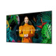 Monitor profesjonalny 65 cali QH65C LH65QHCEBGCXEN