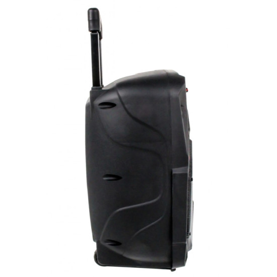 Głośnik APS22 system audio Bluetooth Karaoke