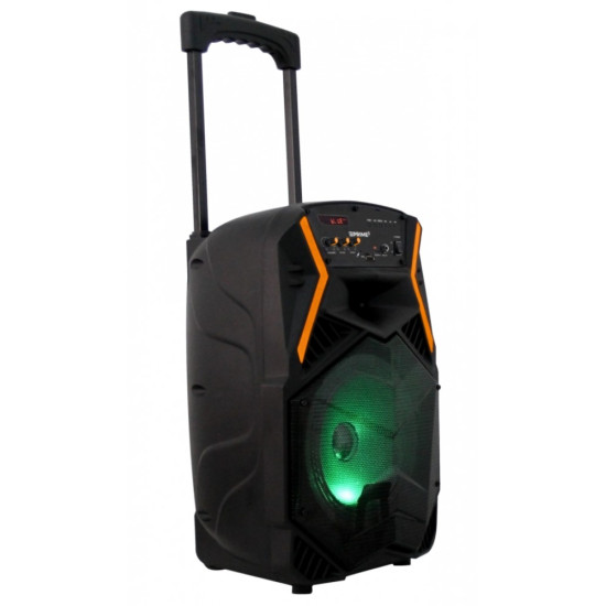 Głośnik APS22 system audio Bluetooth Karaoke