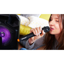Głośnik APA20 system audio Bluetooth Karaoke
