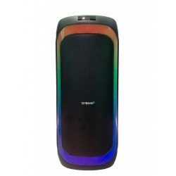 Głośnik APS81 system audio Bluetooth Karaoke