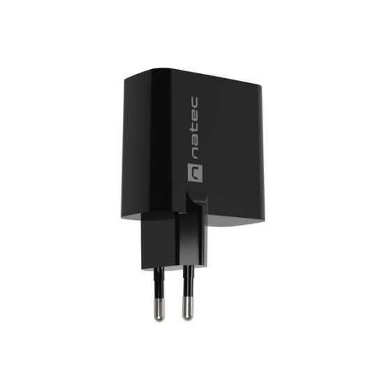 Ładowarka sieciowa Ribera GAN 1X USB-A + 1X USB-C 65W Czarna