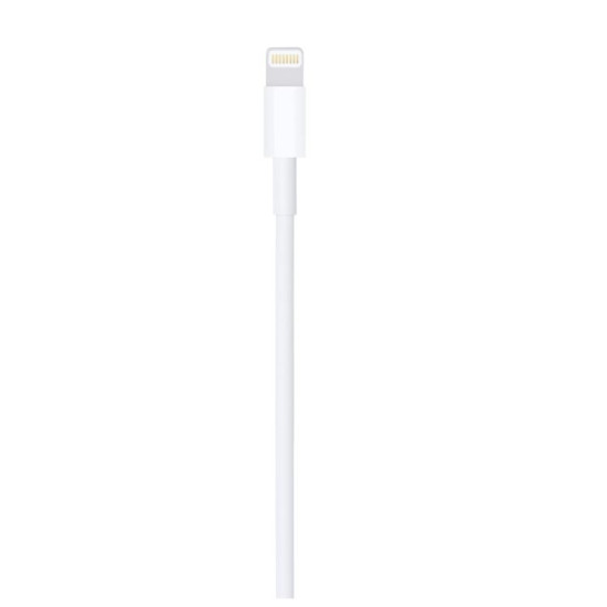 Przewód ze złącza Lightning na USB (1 m)