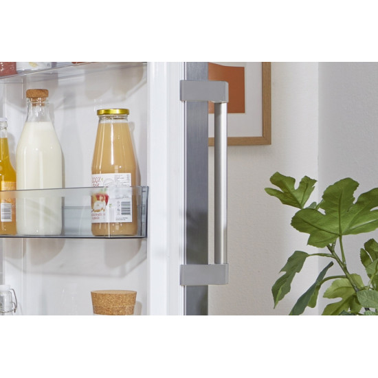 Chłodziarka R619EES5