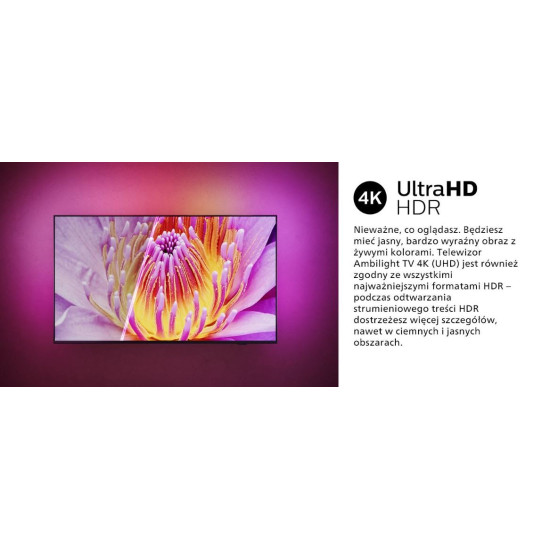 Telewizor LED 50 cali 50PUS8919/12