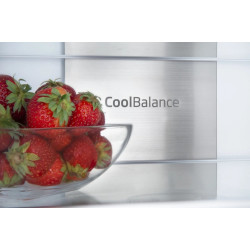 Chłodziarko-zamrażarka BK3055.6NFM(E)