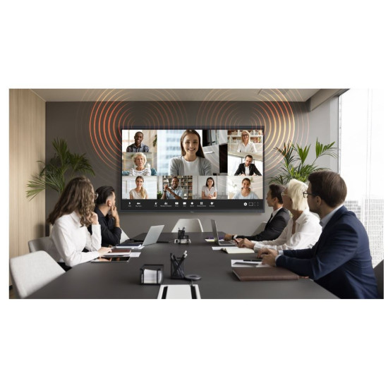 Monitor interaktywny  5653RK H1F0C0NBW101