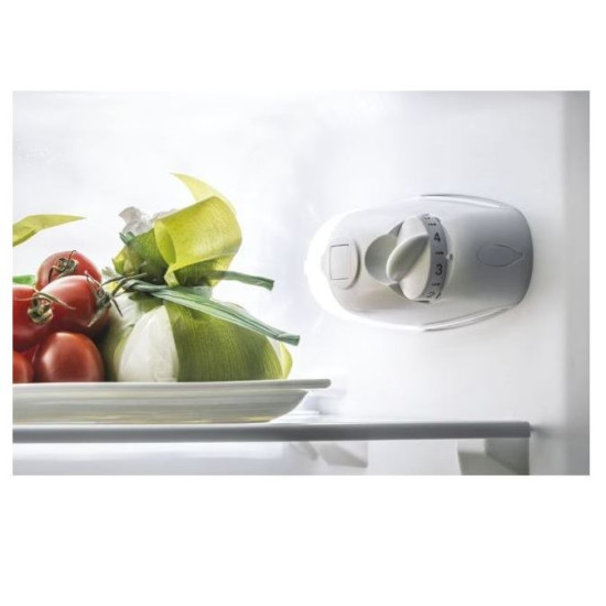 Chłodziarko-zamarażarka CCG1L314EW