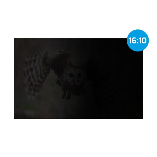 Filtr prywatyzujący RODO Owl 16 cali 16:10 