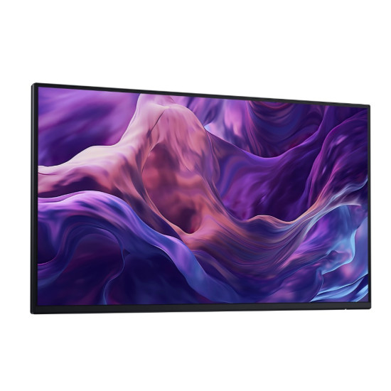 Monitor 23.8 cala P2425H WOST IPS 1920x1080/16:9/DP/HDMI/USBC/VGA/USB/3Y 