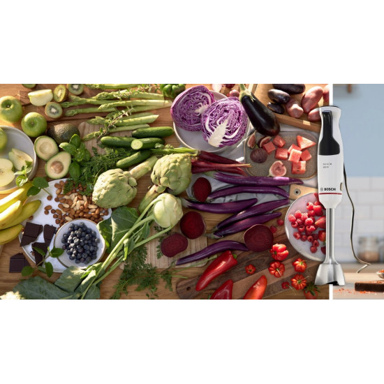 Blender ręczny MSM4W220