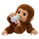 Maskotka interaktywna Little Live Pets Małpka