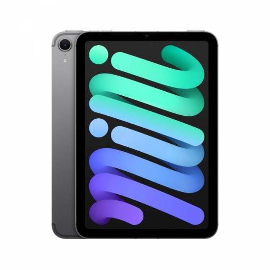 iPad mini Wi-Fi + Cellular 512GB Gwiezdna szarość