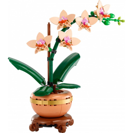 Klocki Botanicals 10343 Mała orchidea 