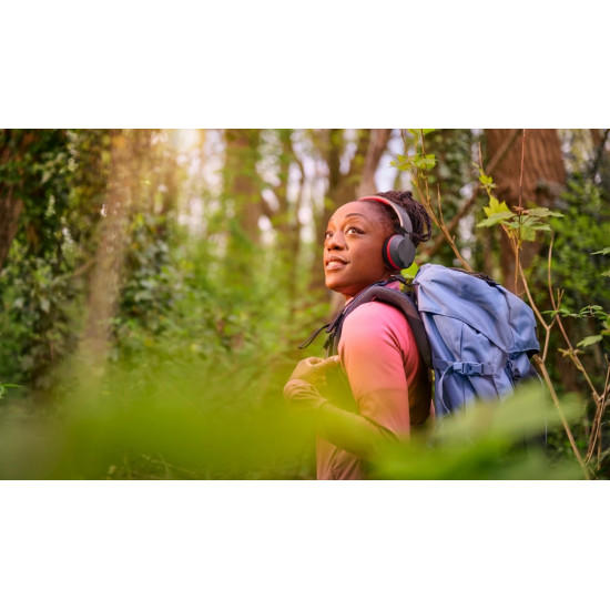 Słuchawki TAA6219BK/00 