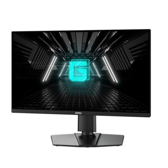 Monitor G255PF E2 24,5 cala LED/FHD/Flat/180Hz/Black 