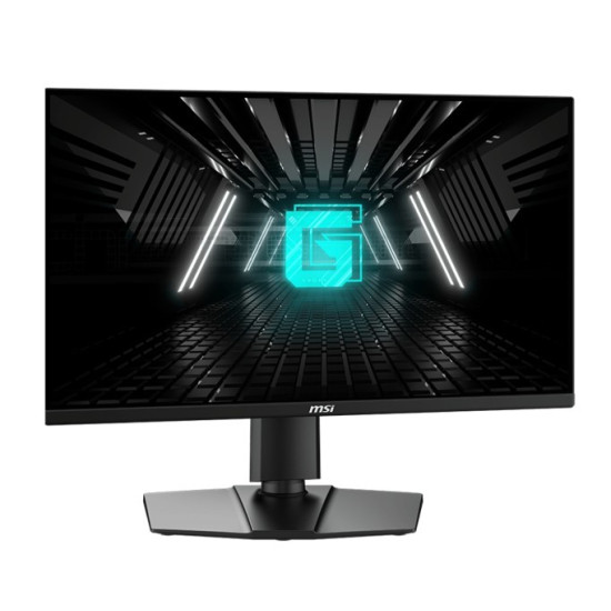 Monitor G255PF E2 24,5 cala LED/FHD/Flat/180Hz/Black 