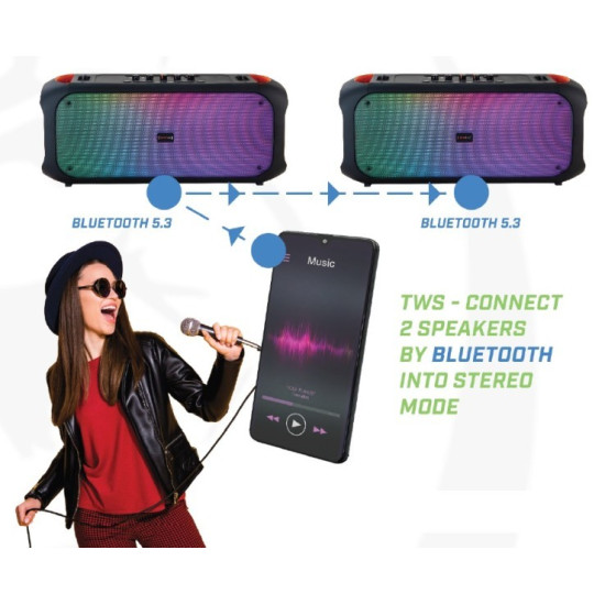 Głośnik Bluetooth FM/USB SoundVox 650