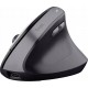 Mysz bezprzewodowa YVI TM-270 ERGONOMIC WIRELESS MOUSE 