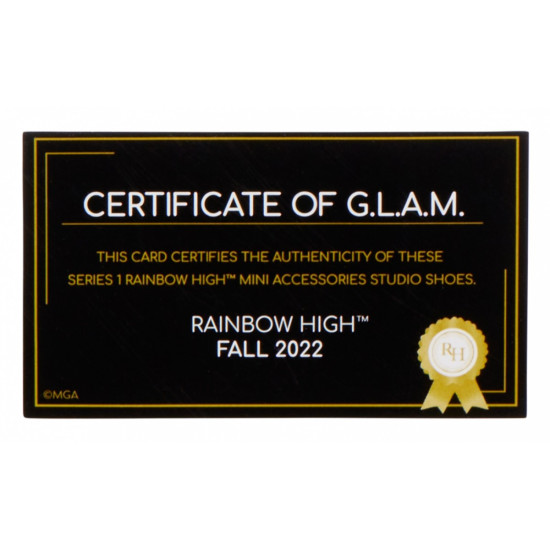 Akcesoria  Rainbow High Buty display 27 sztuk