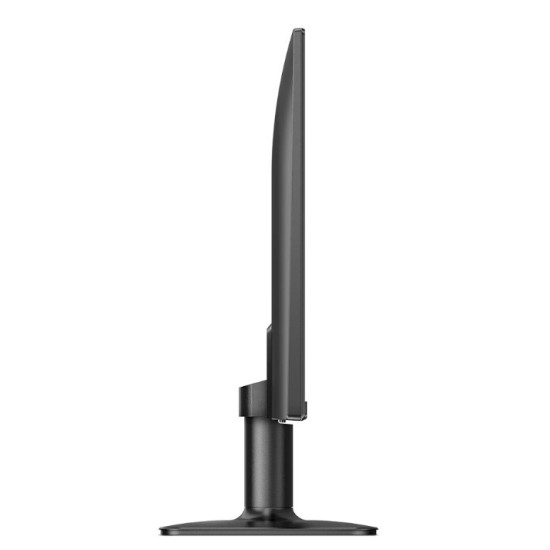 Monitor 24E2N1100LB VA 100Hz HDMI VGA