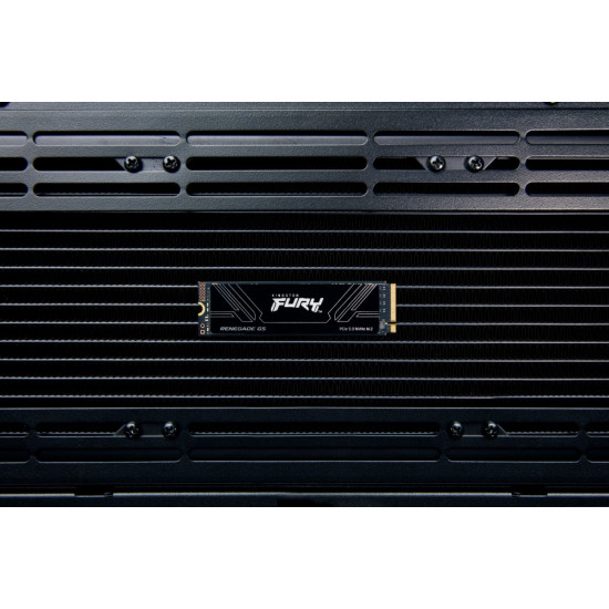 Dysk SSD Renegade G5 1TB NVMe 5.0 M.2 2280 14200/11000MB/s