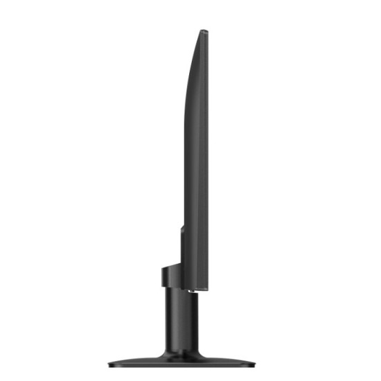 Monitor 24E2N1110 23.8 cala IPS 120Hz HDMI VGA 