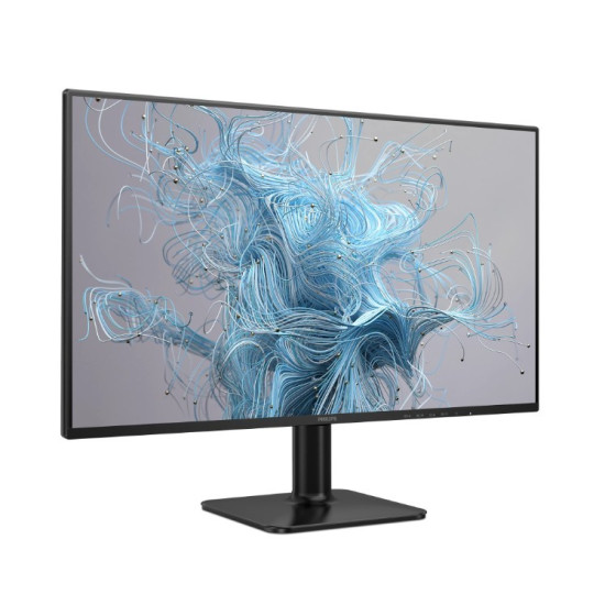 Monitor 24E2N1110 23.8 cala IPS 120Hz HDMI VGA 