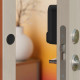 Inteligentny zamek  Linus Smart Lock (czarny)