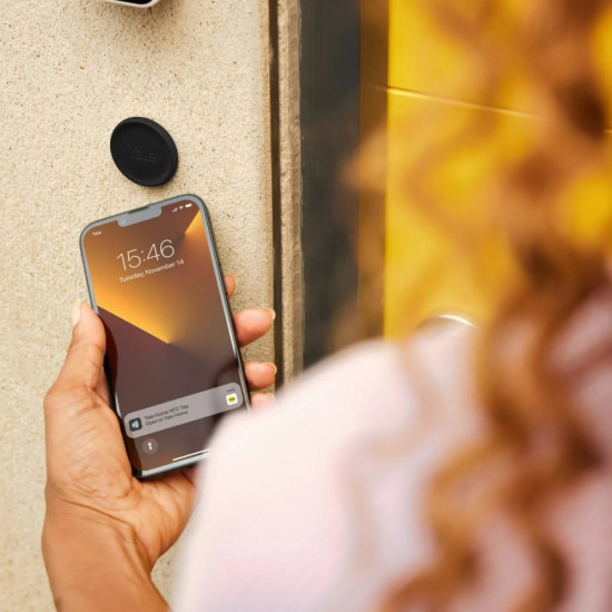 Inteligentny zamek  Linus Smart Lock (srebrny)