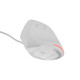 Mysz wertykalna NATEC CRAKE 2 PRO 128000DPI optyczna biała 