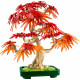 Klocki Botanicals 10348 Klon palmowy bonsai 