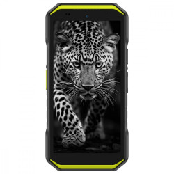 Smartfon Armor X32 6GB/128GB Zielony 