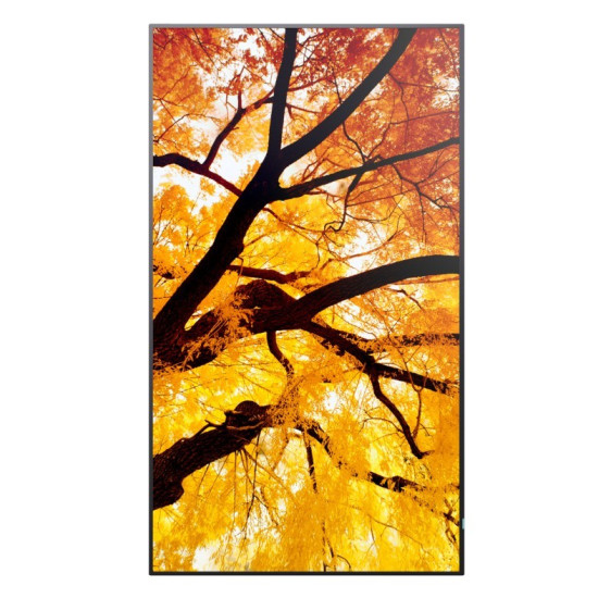 Monitor wielkoformatowy MultiSync M552 55 cali 550cd/m2 24/7 