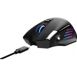 Mysz bezprzewodowa Versa Pro W + Dock 